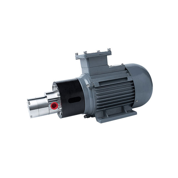 3-MPB150-550W-Explosion-Proof-Motor-316L-Stainless-Steel-Micro-Magnetic-Drive-Gear-Pump